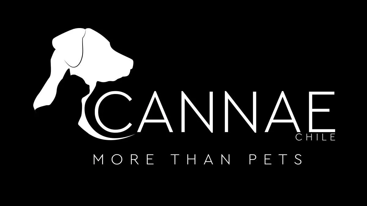 Logo de Cannae