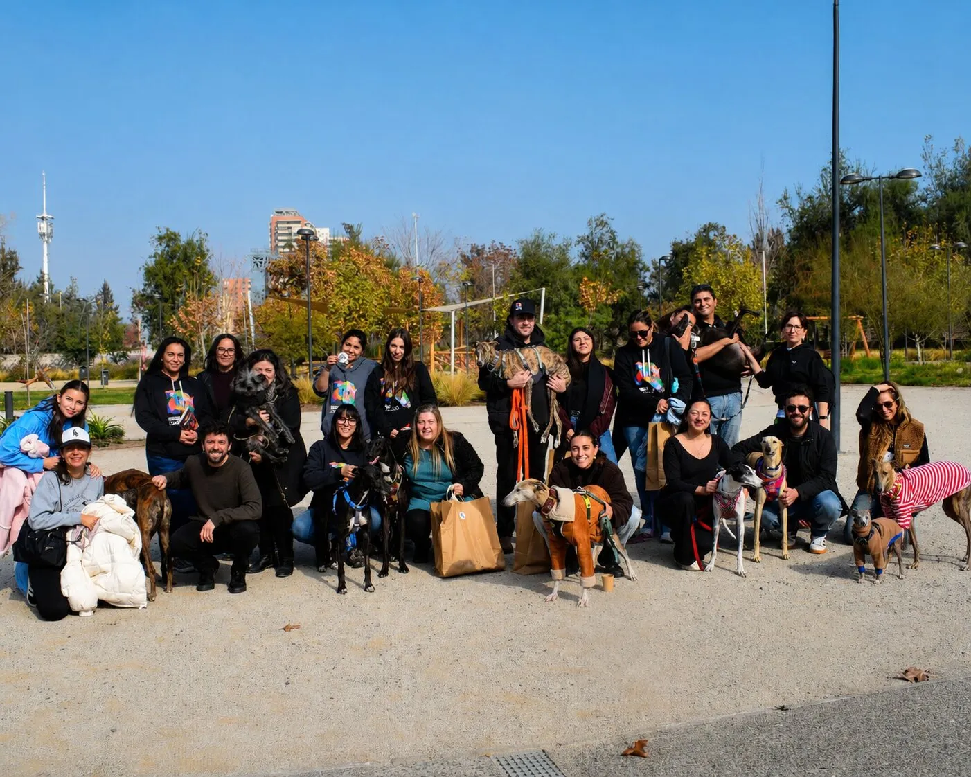 Parte del equipo de Brigada Galgos reunido con sus galgos en un parque